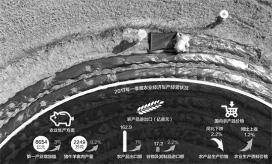 李诚：中药材价格会跟着粮价走向低迷！（中药材天地网原创）