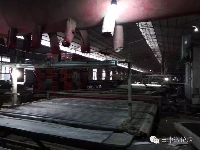 预防台风　白中在行动