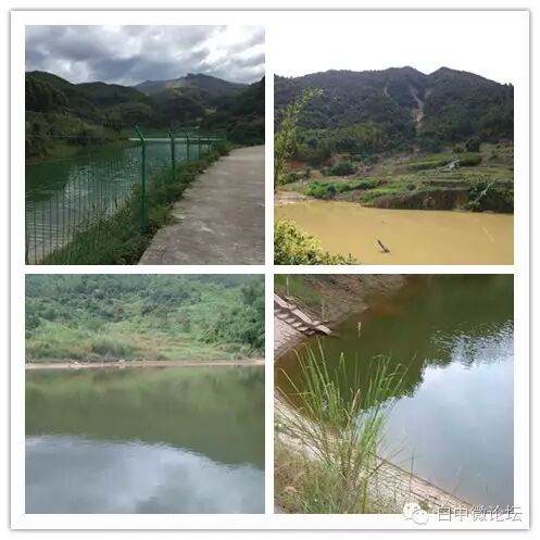 预防台风　白中在行动