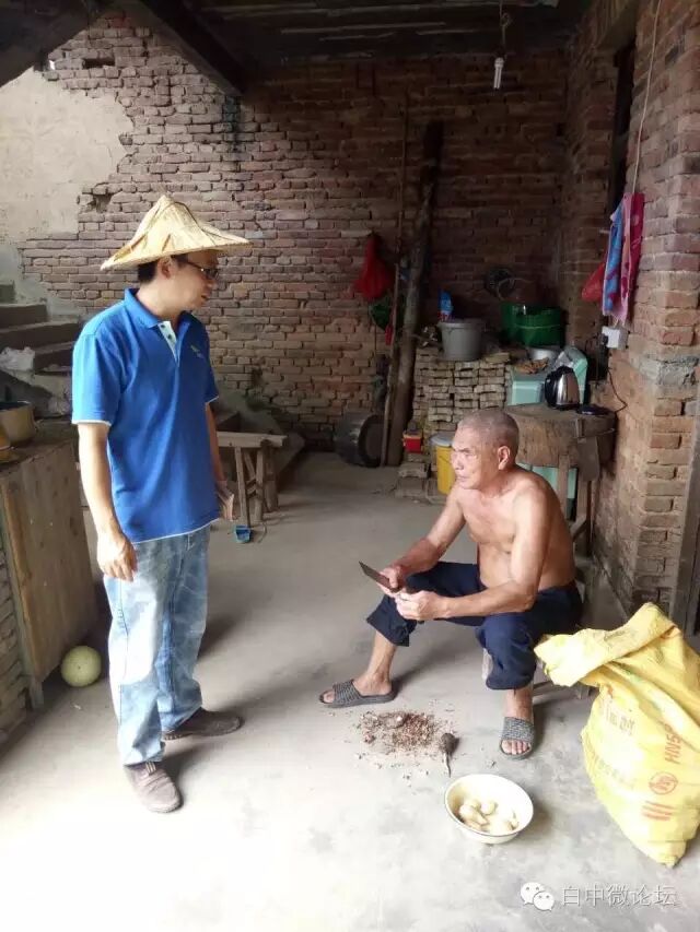 预防台风　白中在行动