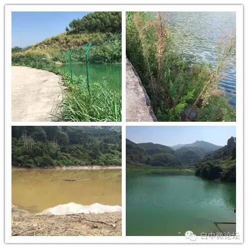 预防台风　白中在行动