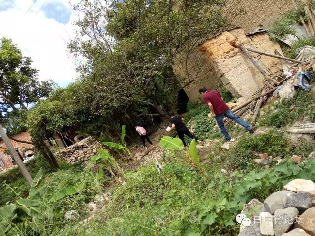 预防台风　白中在行动