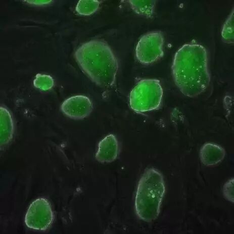 �����μǡ���δ��֮�գ���Ů����֮ˮ�������ʵ