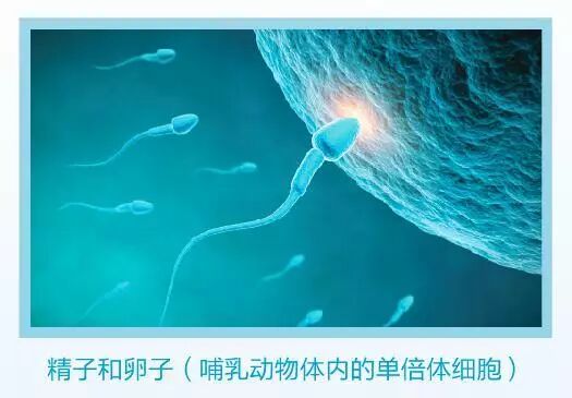 �����μǡ���δ��֮�գ���Ů����֮ˮ�������ʵ