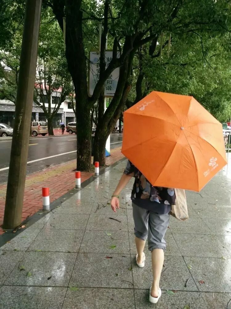 雨下边齐字读什么_雨加齐_浏阳一中鲁雨齐