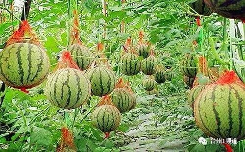 台州归什么省管_台州是哪个省_台州的省会是哪个城市