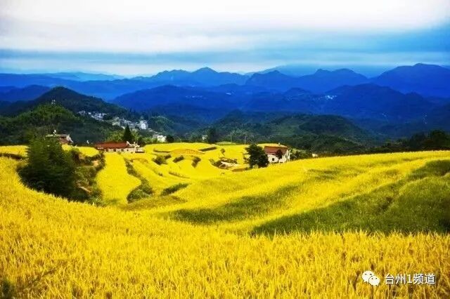 台州的省会是哪个城市_台州归什么省管_台州是哪个省