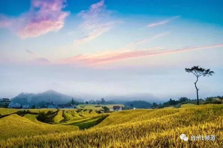 台州的省会是哪个城市_台州是哪个省_台州归什么省管