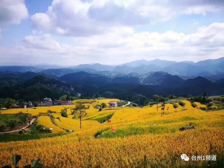 台州是哪个省_台州的省会是哪个城市_台州归什么省管
