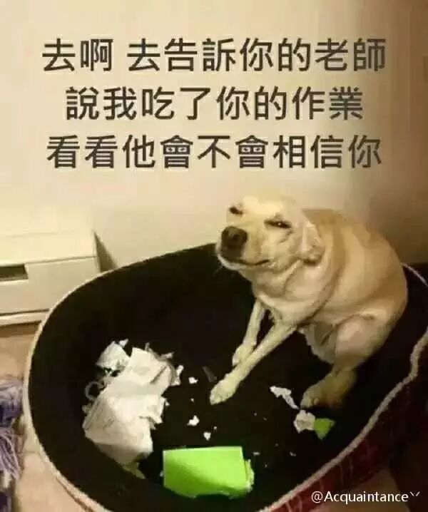 暑假作業(yè)在機(jī)場(chǎng)找回!媽媽很高興 孩子卻內(nèi)心崩潰