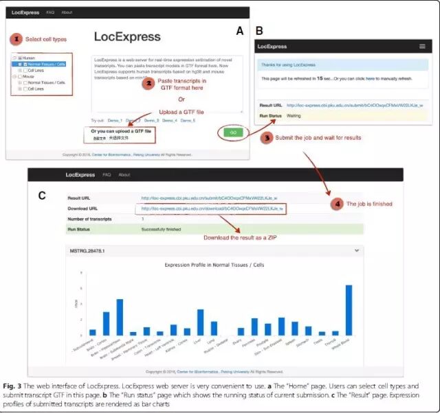 640?wx_fmt=jpeg&tp=webp&wxfrom=5&wx_lazy