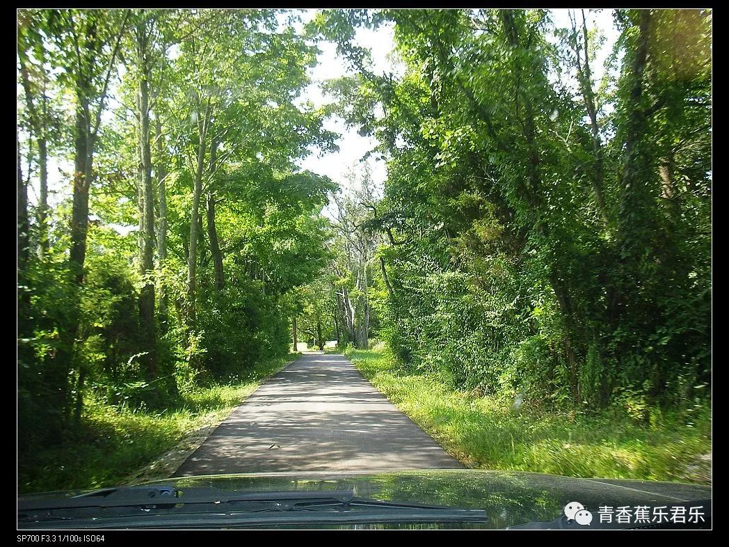 换种口味,乐君带您走进 绿野仙踪——2010年赴美实习,在俄亥俄州的图片