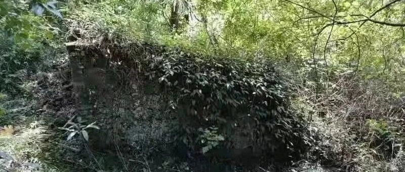 永远的石墙里——于都县祁禄山镇金沙村石墙里屋场英雄儿女的故事