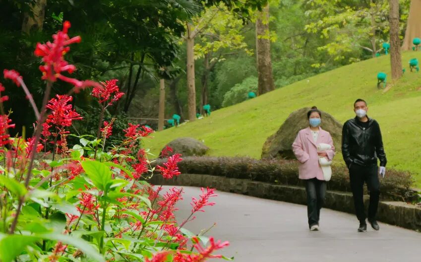 新葡京博彩官网公园红楼花
