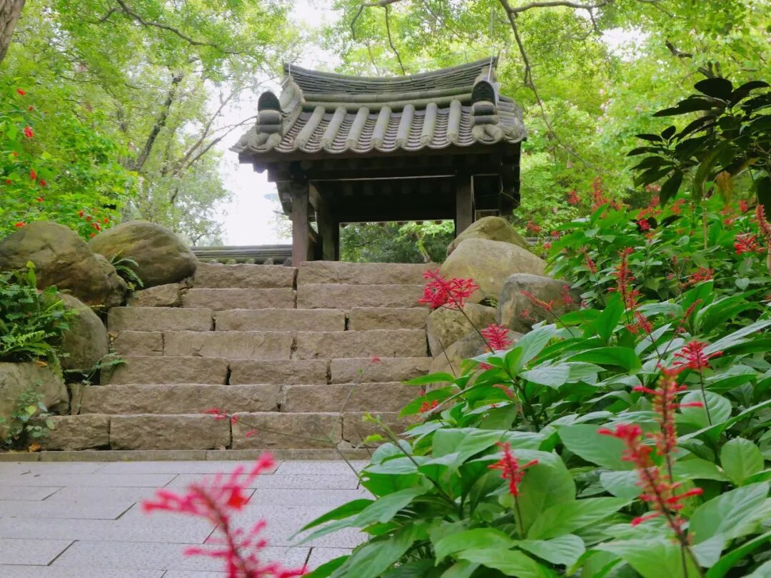 新葡京博彩官网公园红楼花