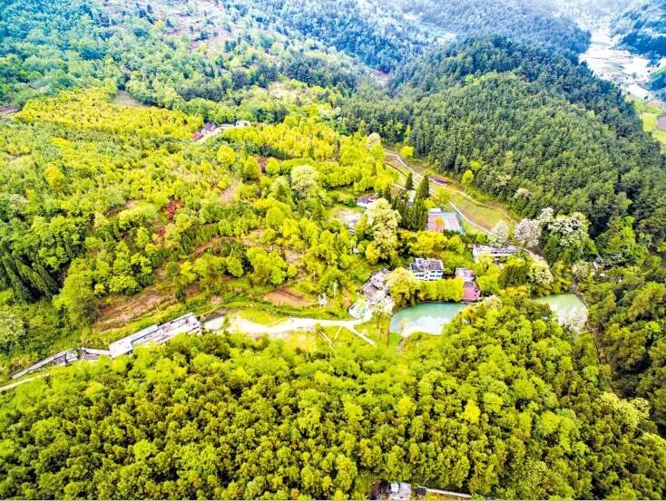 贵定——一座镶嵌在绿水青山间的生态之城