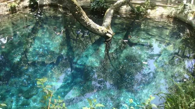 云南曲靖_2015年曲靖gdp(3)