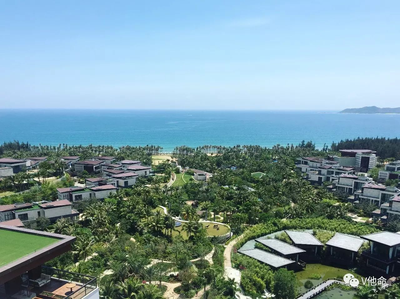 枝繁叶茂的海边热带雨林--三亚海棠湾君悦酒店