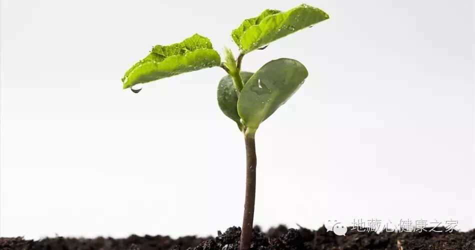 【备孕必看】寿康宝鉴之保身立命戒期及天地人忌-怀孕期