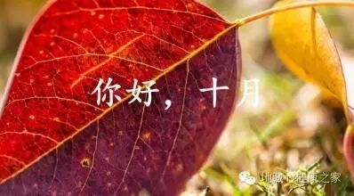 【备孕必看】寿康宝鉴之保身立命戒期及天地人忌-怀孕期