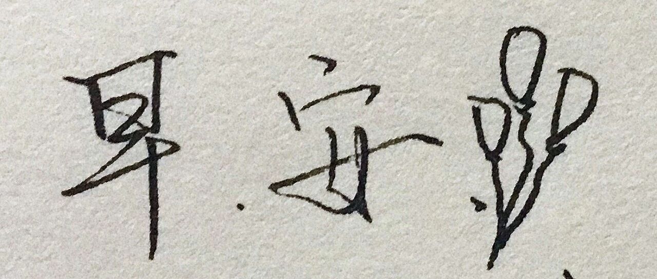 音乐分享丨早安篇