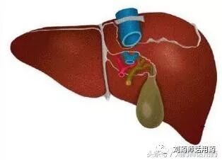 服用他汀类药物需要定期监测肝功能吗？