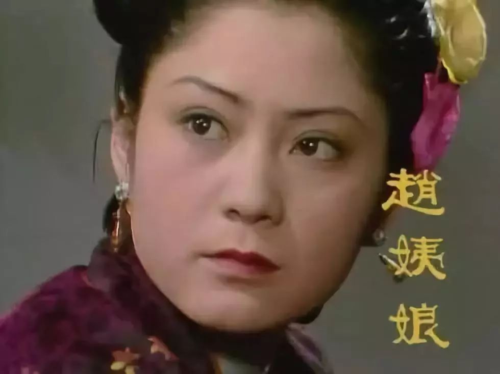 2 赵姨娘