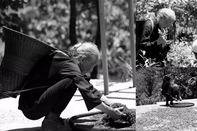 傣族女中医公开一辈子心血，让男人告别肾虚烦恼！！！