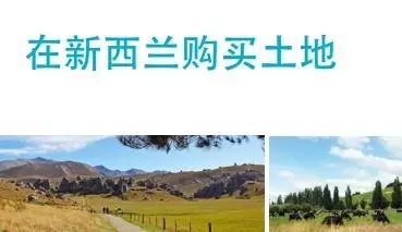 请告诉你认识的土豪，来围观新西兰政府中文买地指南！