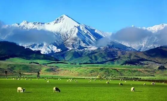 请告诉你认识的土豪，来围观新西兰政府中文买地指南！