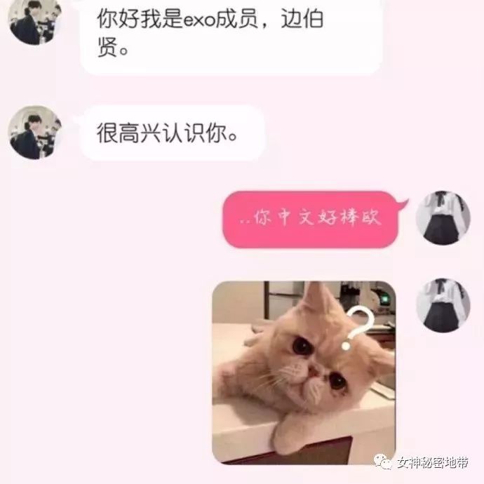 “网恋吗? 我是exo成员边伯贤”