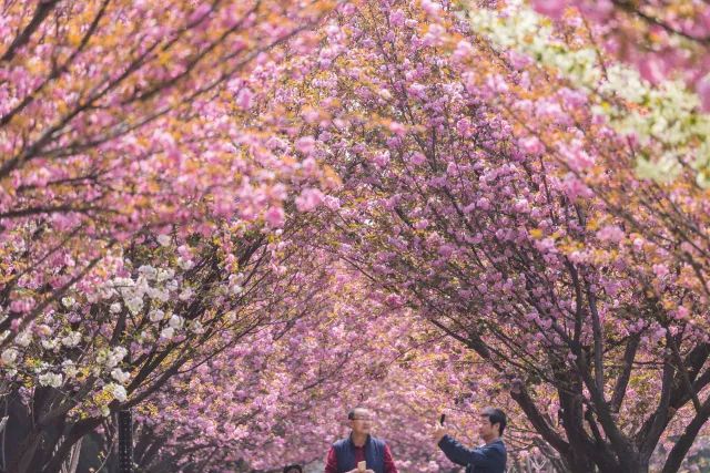 西安交通大学