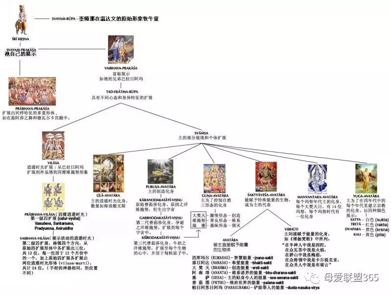 宇宙众生的宗族家谱