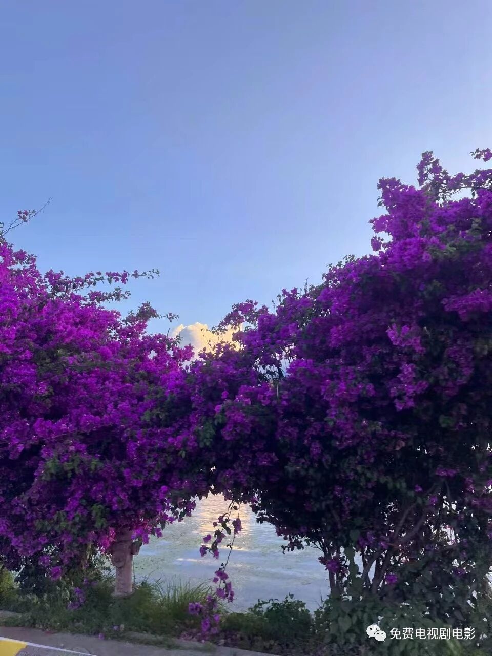 家里风水摆件怎么放置