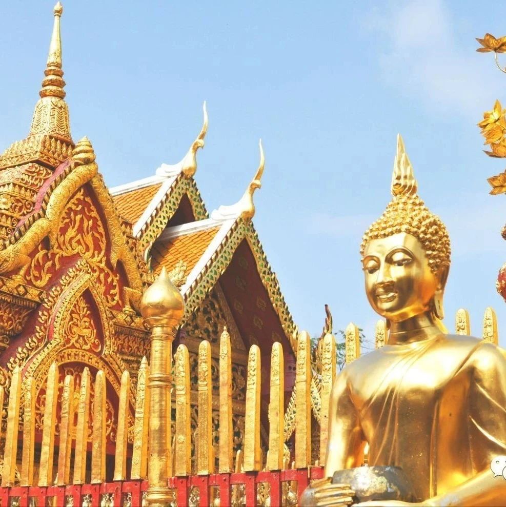 「泰国」出国度假首选的国家，都是哪些人在申请移民？