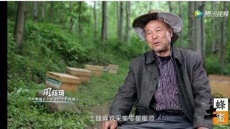 别再花钱买假蜂蜜了,50年深山养蜂人告诉你不为人知的真相!