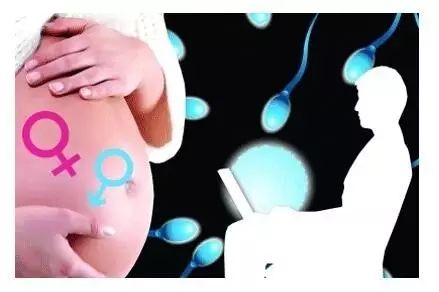 早知道胎儿性别（20种方法检测怀男怀女）