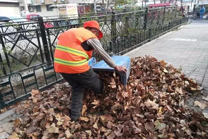 上饶城管园林部门调研论证后引进了 树叶树枝粉碎机,通过机械粉碎,将
