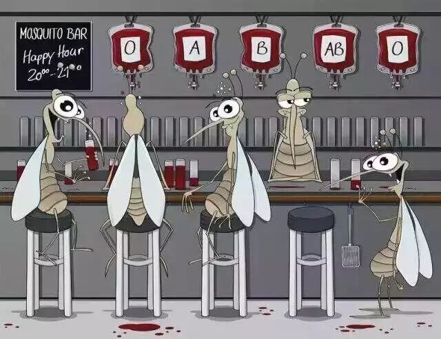 对100多次实验的结果进行分析发现，O型血的人被叮次数最多，作者得出结论O型血可能最招蚊子。