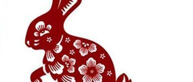 属兔的一生中最旺的六个人