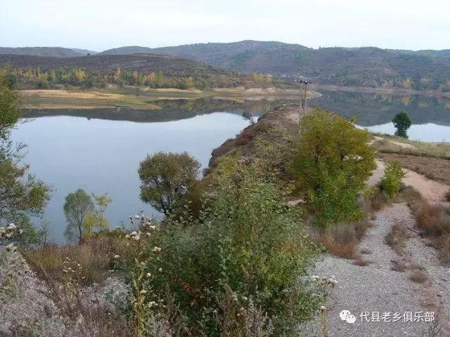 据村民说,西茂河水库还是头一次有白天鹅降落栖息,说明代县生态好了