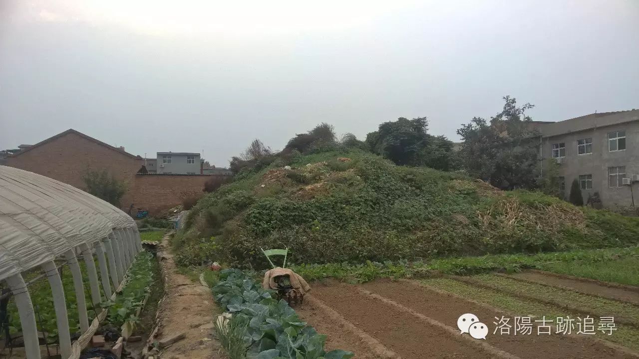 【邙山陵墓群—曹魏帝陵高贵乡公曹髦墓