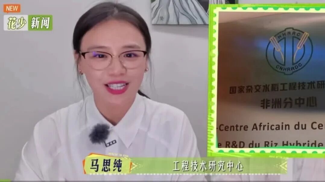 马思纯播音腔好牛