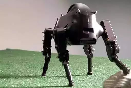 ȣBoston Dynamics AtlaspC & SpotMiniC