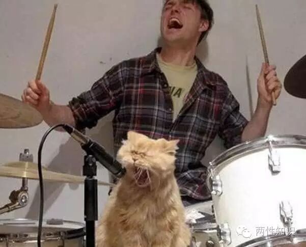 两性知识:3件事引起女性私处裂伤-怀孕期