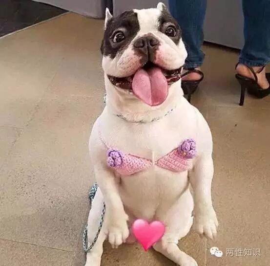 两性知识:安全期会不会怀孕全在这了-怀孕期