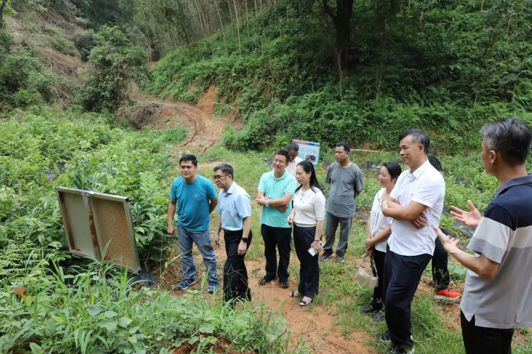 乡村振兴肇庆市一医院党委书记陈浩波带队到封开县长岗镇调研对接