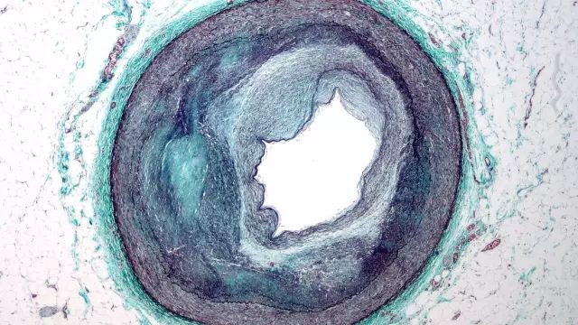 《自然》杂志盘点2016年八大科学事件