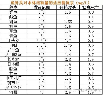 缺氧死魚、螃蟹上岸！高溫悶熱天池塘水質的7大管理措施！