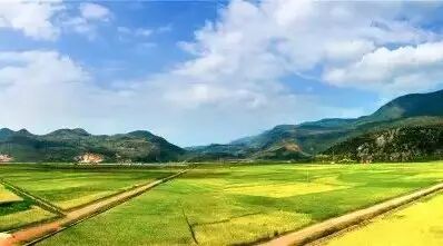 “阿庐文学奖”有奖征文 |吴跃龙:梦回泸西(散文)